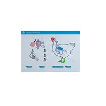 Стенд-планшет светодинамический "Изучение органов дыхания сельскохозяйственных животных" со сменными панелями - «globural.ru» - Пенза