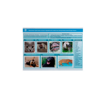 Стенд-планшет светодинамический «Острые отравления животных лекарственными препаратами» - «globural.ru» - Пенза