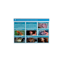 Стенд-планшет светодинамический "Изучение типических патологических процессов в организмах животных" - «globural.ru» - Пенза