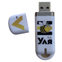 Методическое пособие для работы с комплектом мини-роботов "Bee-Bot"  - «globural.ru» - Пенза