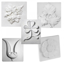 Комплект гипсовых моделей растений  - «globural.ru» - Пенза