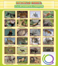 Стенд "Красная книга - млекопитающие" - «globural.ru» - Пенза