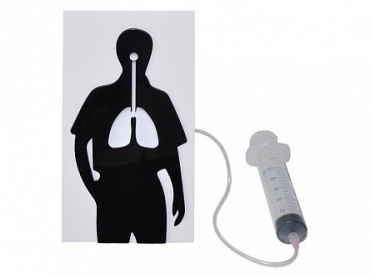 Демонстрационная модель "Эффект курения" - «globural.ru» - Пенза