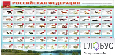 Стенд "Красная книга РФ" - «globural.ru» - Пенза