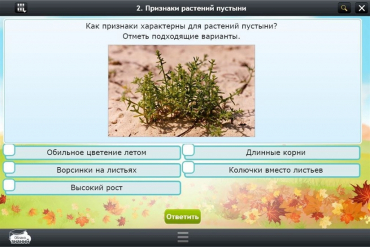 Интерактивные курсы. Окружающий мир 3 класс. Базовый - «globural.ru» - Пенза