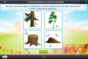 Интерактивные курсы. Окружающий мир 1 класс. Базовый - «globural.ru» - Пенза