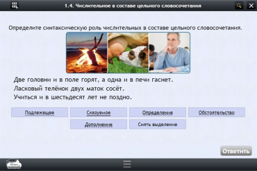 Интерактивные курсы. Русский язык 6 класс. Базовый - «globural.ru» - Пенза