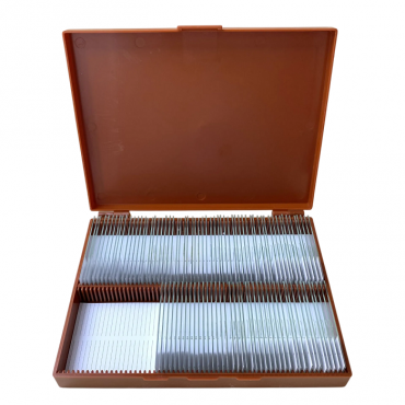 Комплект микропрепаратов по анатомии, ботанике, зоологии, общей биологии - «globural.ru» - Пенза