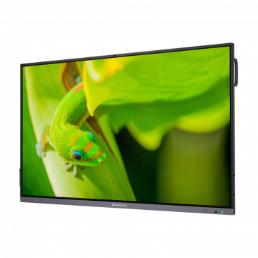 Интерактивный программно-аппаратный комплекс Geckotouch Interactive IP75GT-C в комплекте с настенным креплением - «globural.ru» - Пенза