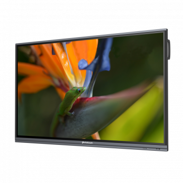 Интерактивный программно-аппаратный комплекс Geckotouch Interactive Pro IP75HT-E в комплекте с настенным креплением - «globural.ru» - Пенза