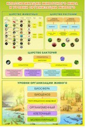 Стенд "Классификация животного мира" - «globural.ru» - Пенза